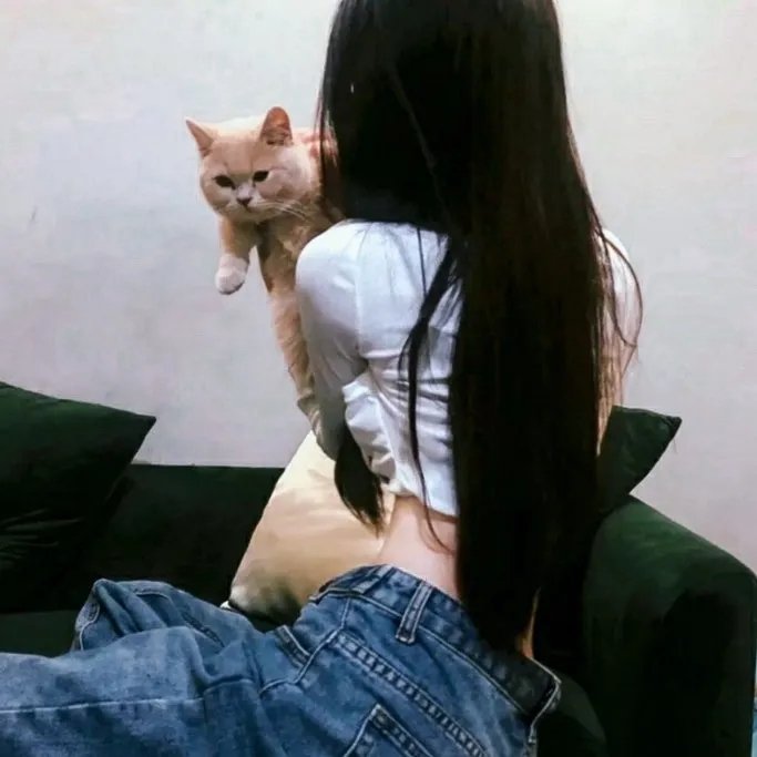 相合伞